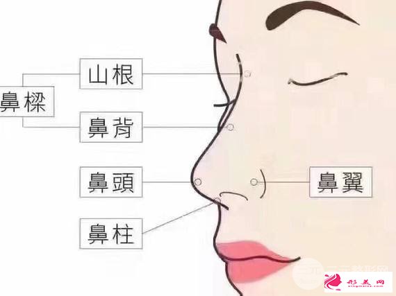 鼻部综合整形价格多少钱 主要受3点因素影响~