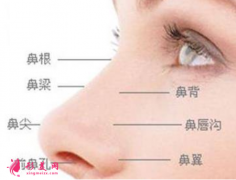自体软骨隆鼻前需要了解的问题？