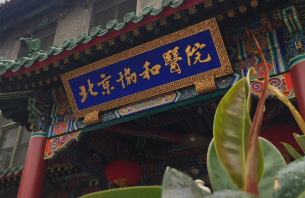 北京协和整形医院价格表|是公立医院吗？怎么挂号？