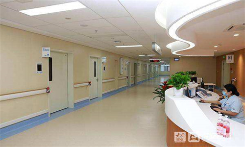 成都全瓷牙价格表标准更新,今日全瓷牙价格为3700元-54982元