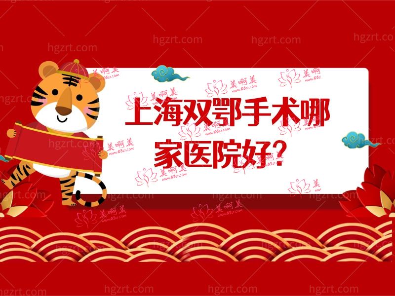 上海双鄂手术哪家医院好