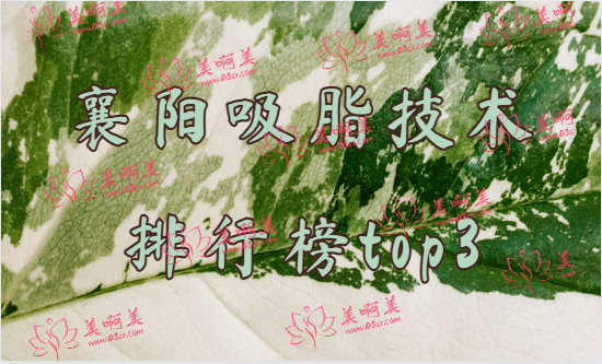 襄阳吸脂技术排行榜top3：韩美、华美、维多利亚凭实力上榜