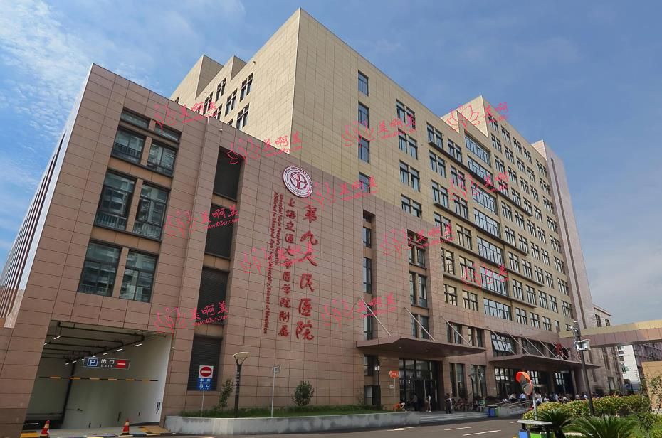 上海九院口腔科介绍：挂号攻略|医生推荐|收费价格一览！