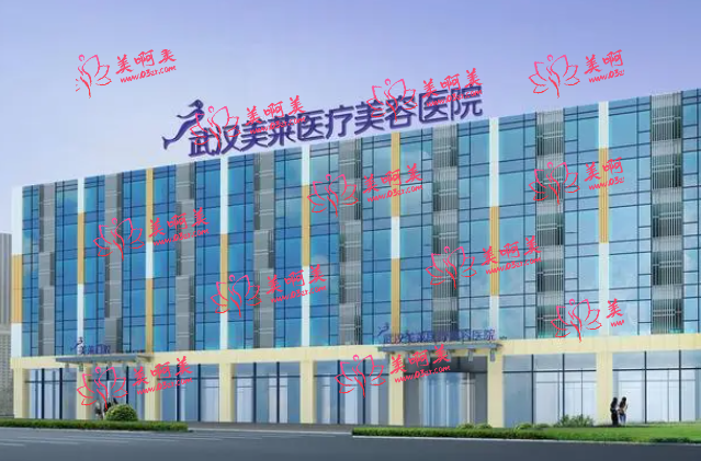 2023武汉玻尿酸隆鼻医院高口碑排名榜出炉！公私立医院都有，看看有哪些吧！