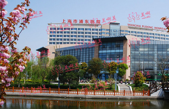 上海市浦东医院有整形科吗？不仅有，实力还很在线！