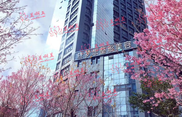 昆明梦想洪晓娅医生的擅长项目是什么？做双眼皮/鼻子效果很惊艳!
