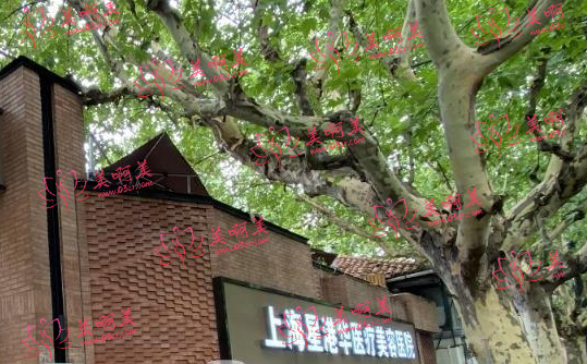上海医疗美容整形医院排名解析，这几家上榜的医院到底有多靠谱？