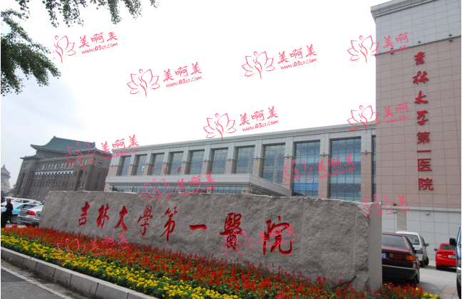 长春医院整形科：吉大一院、吉大二院、盛羽、中妍等背部吸脂有实力！