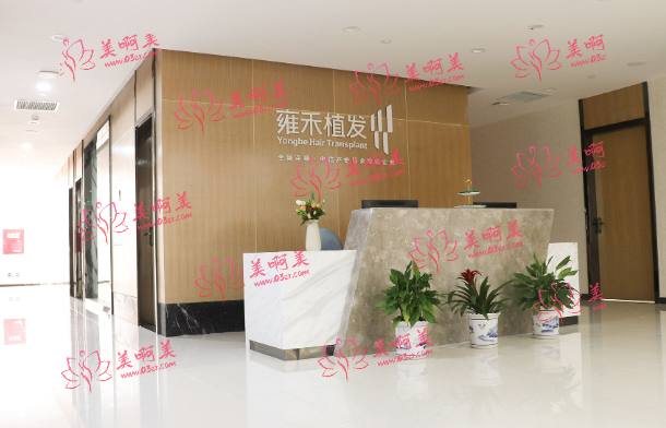 成都碧莲盛与雍禾植发技术大比拼：哪家医院技术更好?