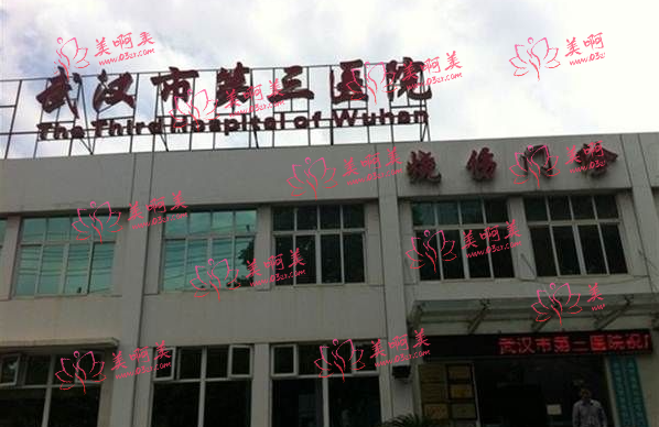 武汉三甲医院私密整形排名解析，看看这几家医院如何脱颖而出！
