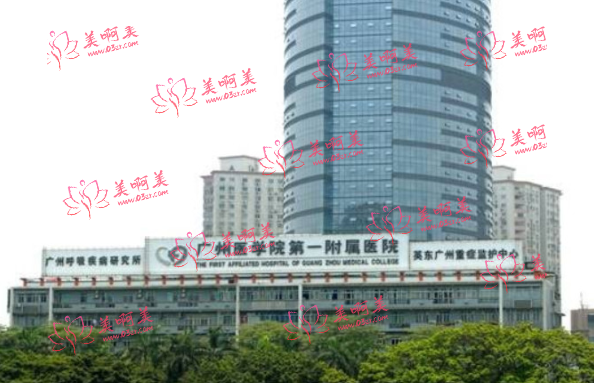 广州做耳基底填充玻尿酸哪些医院做得好？整理几家公立整形医院等你来挑!
