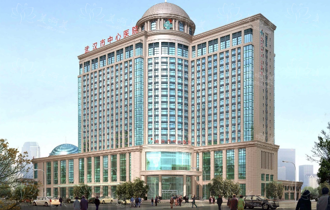 武汉地区公立医院哪家整形美容科靠谱？下面几家名气高，口碑棒！