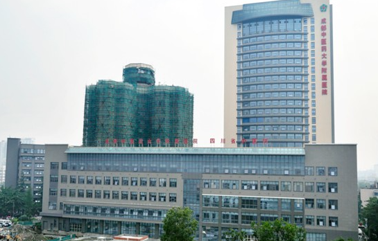 成都大型正规公立整形医院哪家技术更好？五巨头医院实力揭秘！