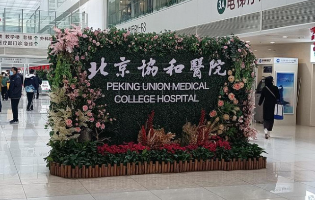 北京下颌角整形技术哪家更强？榜单top5医院实力解析！