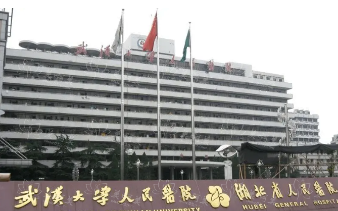 武汉三甲医院隆鼻实力靠谱的有哪些？协和、同济等都是大家熟知的