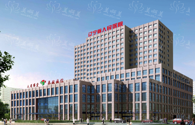 沈阳有哪些靠谱的三甲整形医院？盛京、省人民医院等资料介绍！