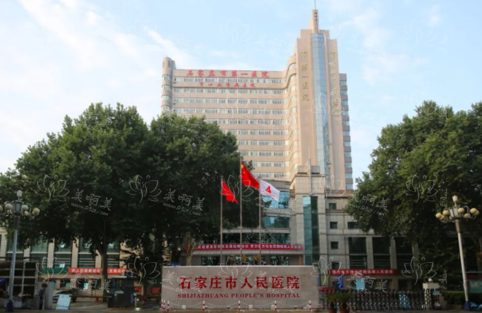 石家庄整形医院排行榜大揭秘：前五医院隆胸修复实力解析与优势对比