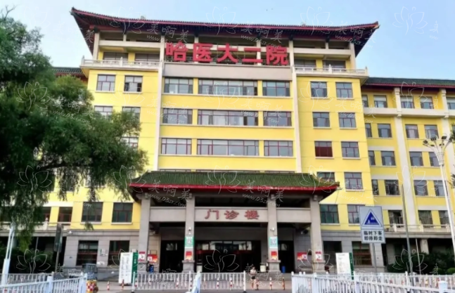 哈尔滨医大二院整形科责怎么样？陈剑、刘国锋等实力坐诊！