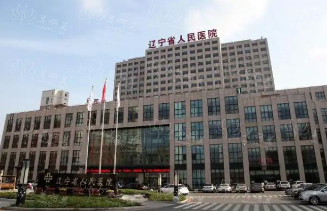 沈阳鼻综合整形医院排行榜火热揭榜：榜单前五即将揭晓！