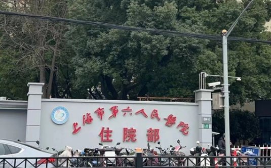 上海六院整形技术好吗？坐诊医生、收费价格等一键查询！