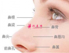 软骨隆鼻后多久才能触碰鼻子