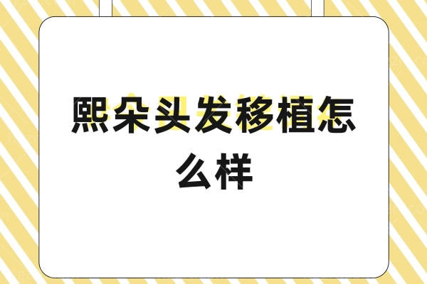 熙朵头发移植怎么样？发友反馈不错、正规靠谱，价格也不贵